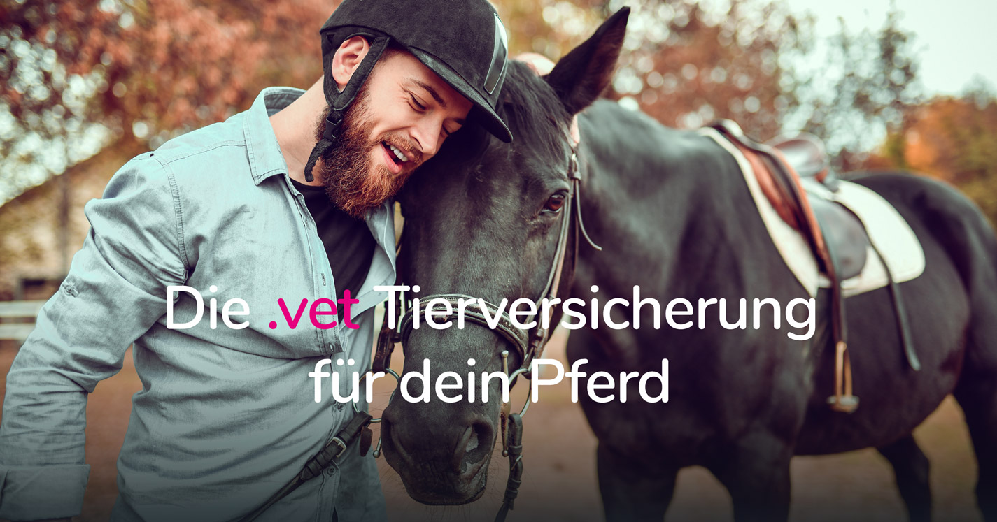Pferde-Versicherung